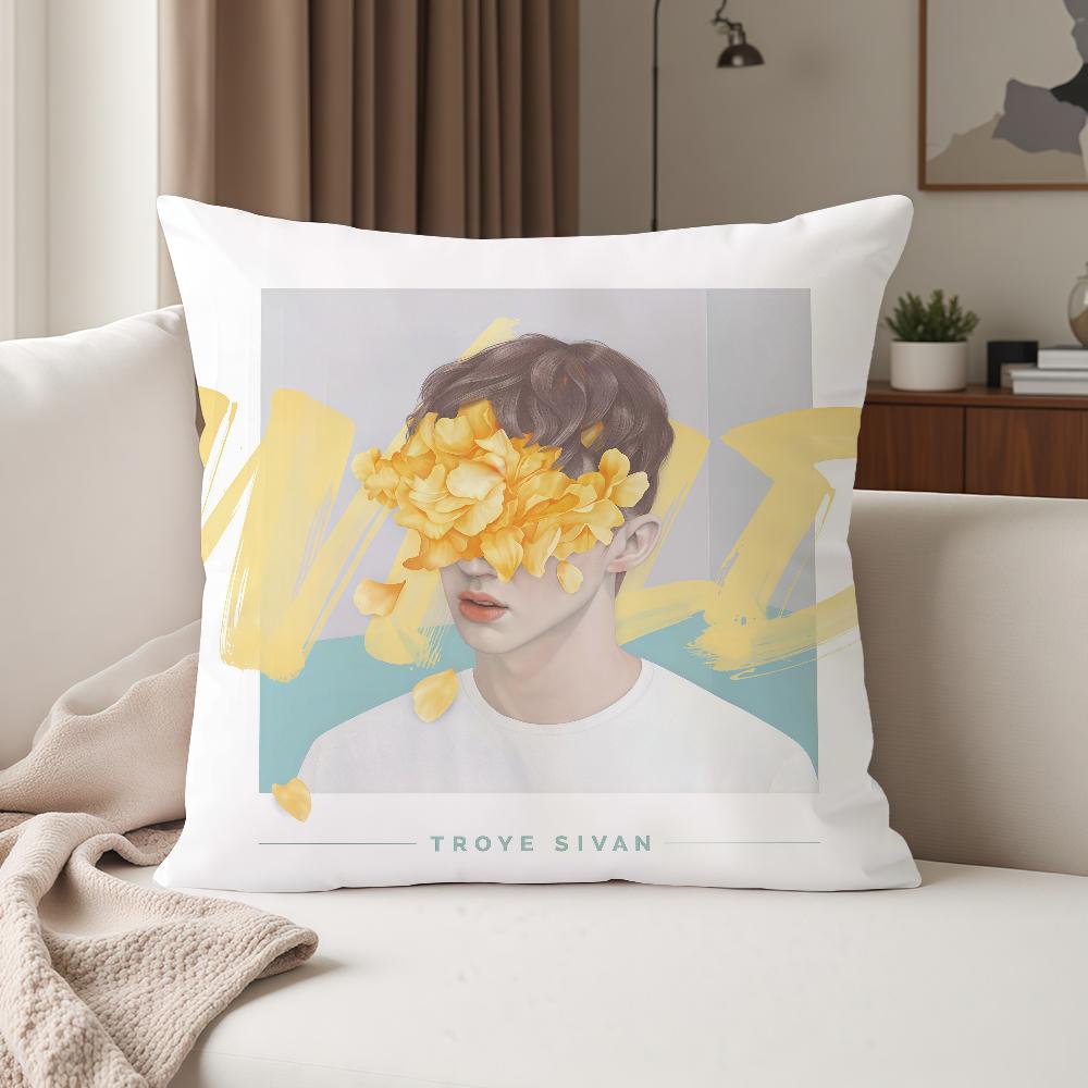 Singer Troye Sivan Blue Neighbourhood Pillow Case Suitable For Bedrooms Living Rooms Cars Home Decoration