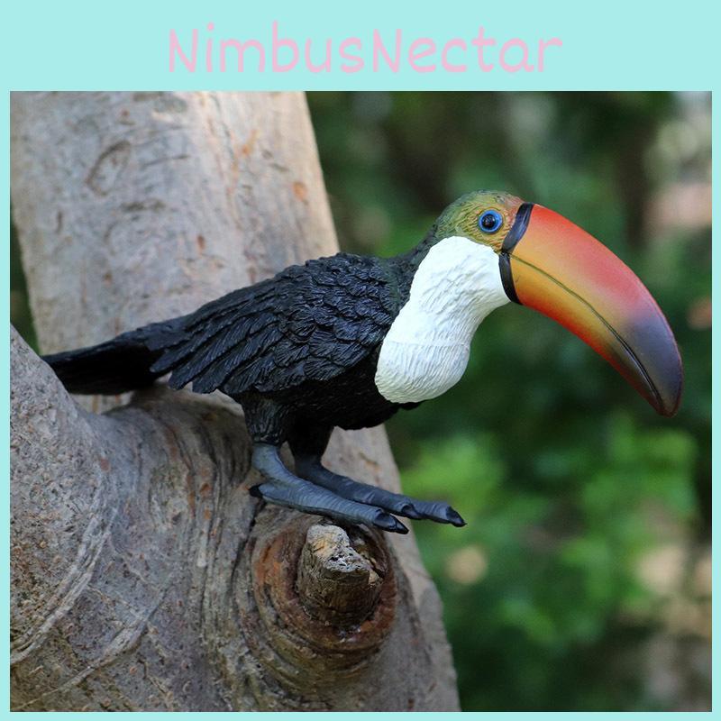 Simulated Wild Animal Big Billed Bird Ramphastos Toco Model Ornament Toys