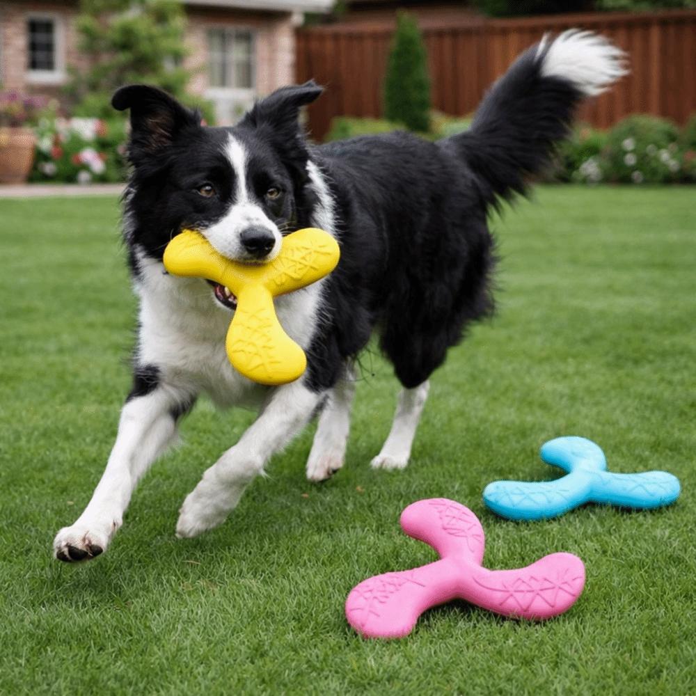 EVA Pet Interactive Flying Disc Wear-Resistant Dog Training Toy Creative Tooth Chew Toy  Backyard