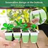 Flexible Silicone Designed Seedling Starter Trays, Seed Starter Tray, 12 Cells Indoor Seed Starter Kit, Germination Tray with Humidity Dome & Lids