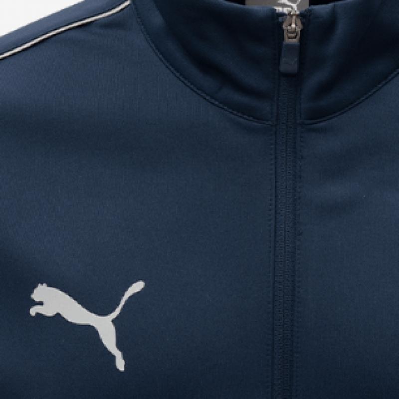 Puma Спортивный костюм команды Asia Sp