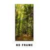Зеленый лес HD картинки холст картины настенное искусство солнечный свет солнечный свет зеленые деревья постеры для гостиной веранда декор куадрос