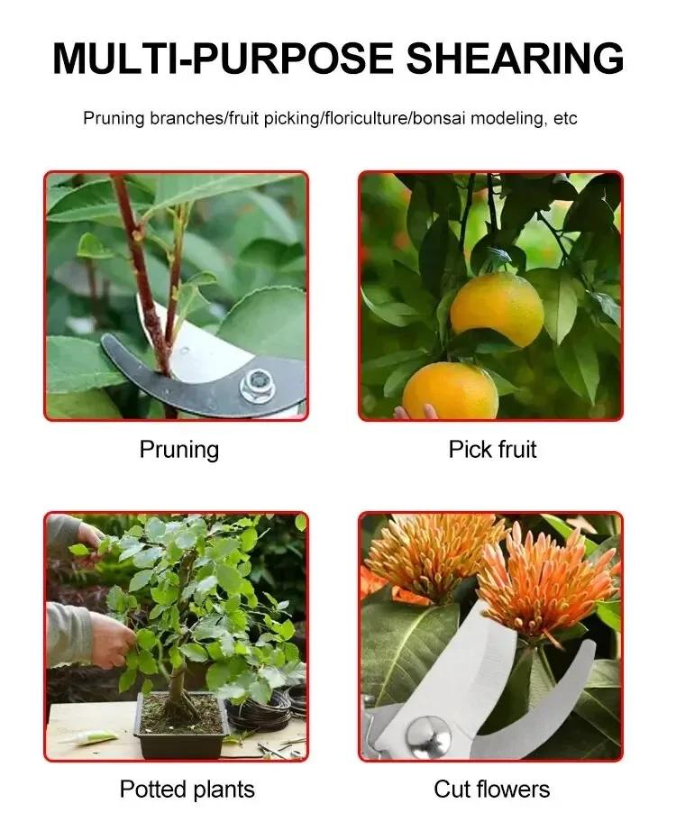Садовые ножницы для обрезки: Многофункциональный секатор с лезвием из нержавеющей стали для обрезки, садоводства и многого другого!