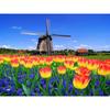5d Diamond Painting Holland Windmill Landscape Rhinestones Diamond Embroidery Flower Mosaic Cross Stitch Home Decor