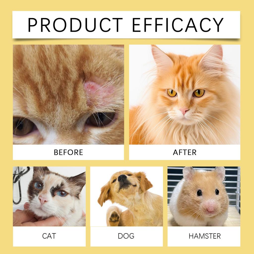 Pet Skin Spray Dog & Cat Skin Care Spray, Soothing Spray Cleansing & Softening Skin, Soothing -Itch Care Spray Nourishing Spray,50ML