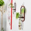 Wall Hanging Wood Hydroponic Plant Rack Durable Plant Holder Pendant Wall Vase Bathroom