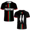 Palestine Flag 3D Printed Plus-size Men's T-shirt Casual Outdoor Sports Quick Drying Breathable Training Match Football Jersey