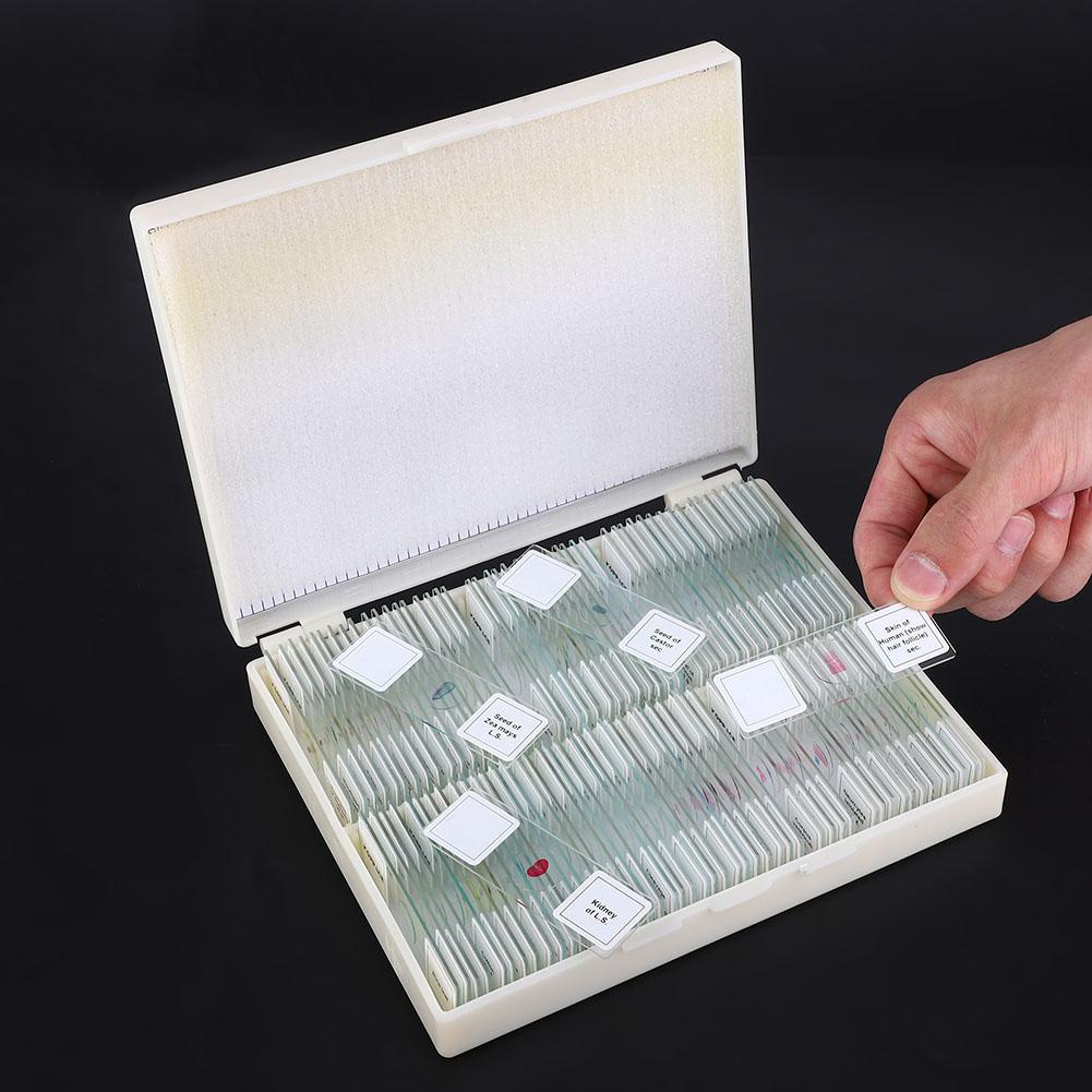 Подготовленный набор слайдов по биологическому разделу для базового биологического образования, 100 слайдов