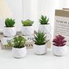 Evergreen Artificial Succulent Cactus Small Potted Plants Mini Bonsai Plants  Home