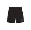 Спортивные шорты Puma 684623