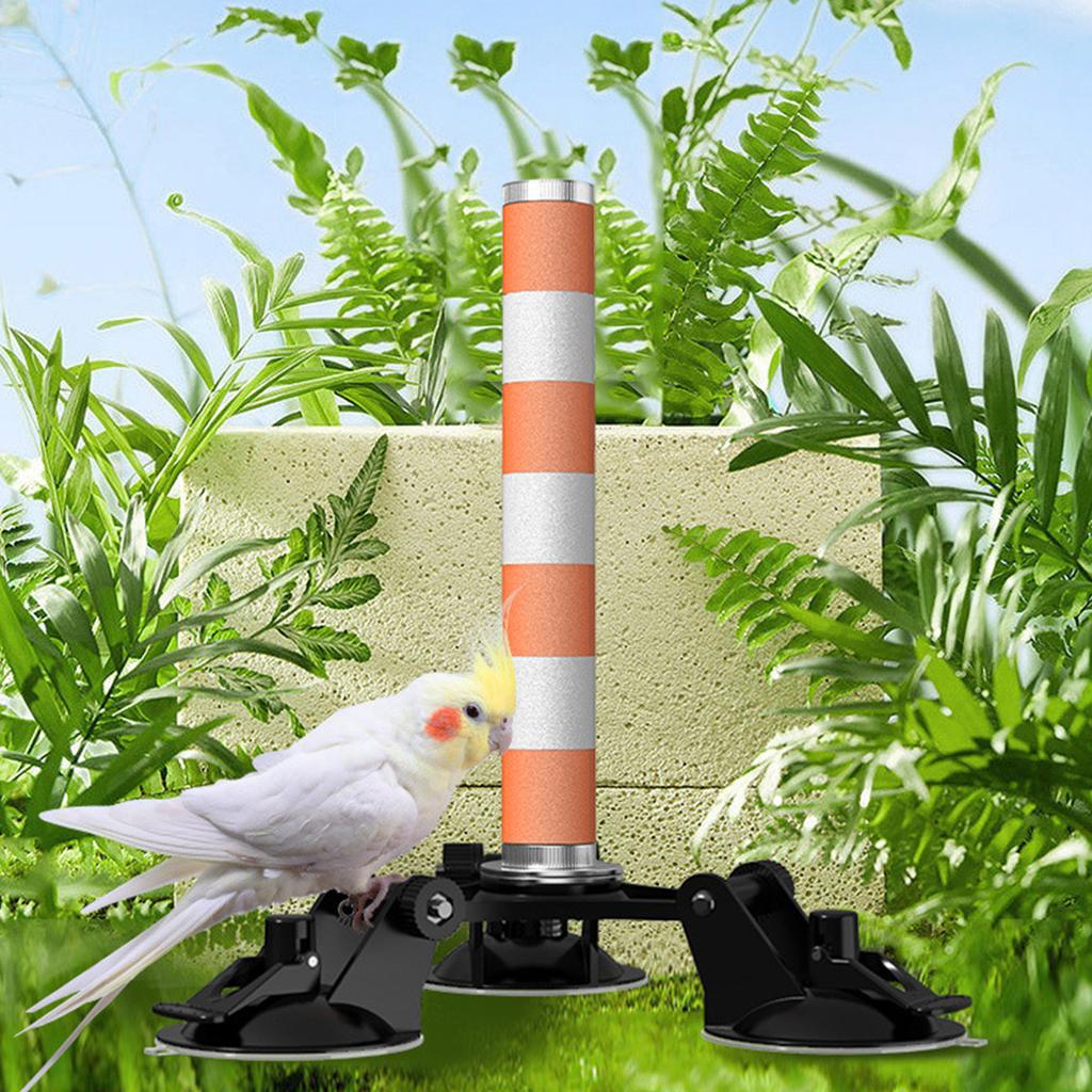 Parrots Grinding Scratcher Perch Stands Birds Stand Ceramics Stick Grinding with Suction Cup Paw Climbing Standing