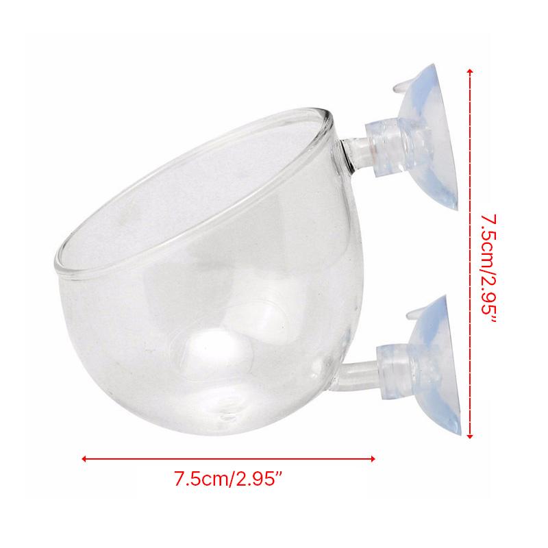 Стеклянные стаканчики для растений с присосками для водных растений, декоративный горшок для аквариума, ландшафтный аквариум