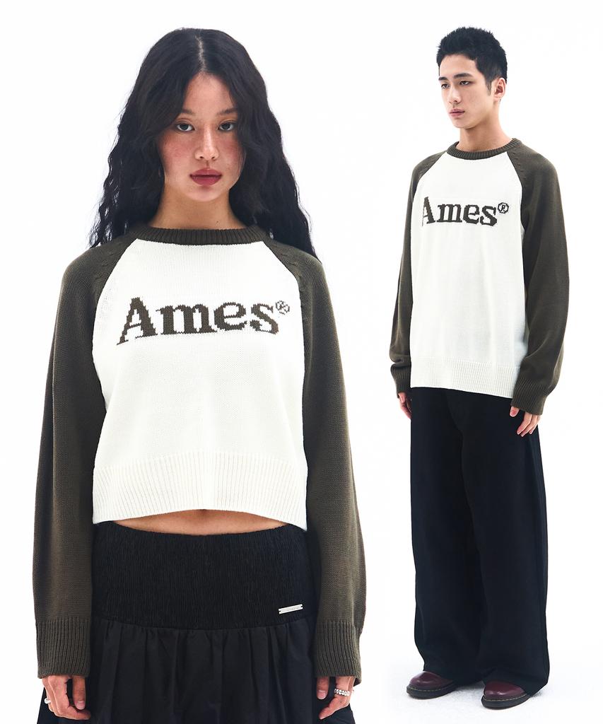 AMES-WORLDWIDE Basic Raglan Pullover Knit Khaki