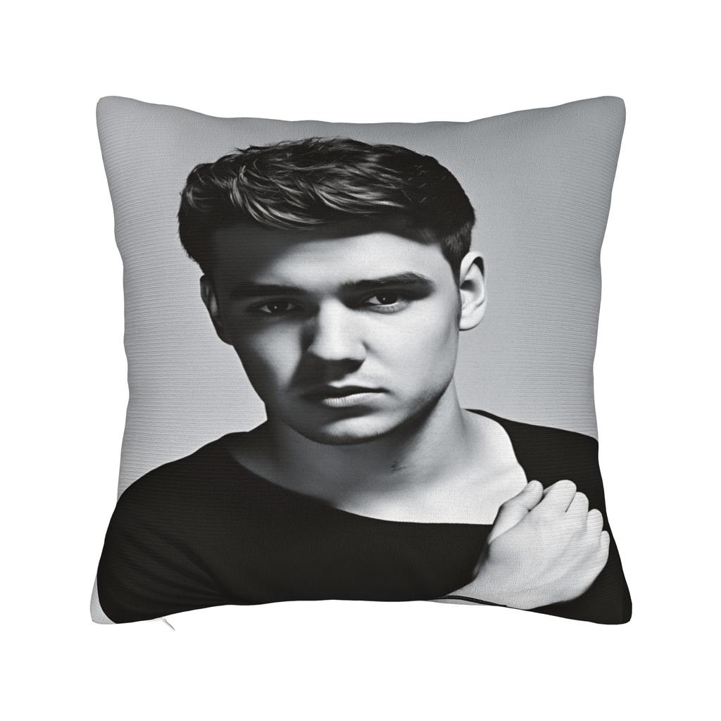 L-Liam Payne Singer Pillow Case Soft Pillow Cover Morden Pillowcases For Living Room Chair