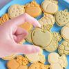 8Pcs Fruit Cookie Embosser Mold 3D Frosting Fondant Plastic Cookie Press Mold
