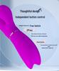 Pilot Dual Motor Silicone Vibrator for Women's Self-Stimulation with Multi-Frequency Vibration and USB Charging