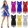 Ladies V Neck Sleeveless Sparkling Sequin Tassels Ballroom Samba Tango Latin Dance Dress