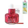 Bant36.5 Camellia Inner Oil L (latest Production) Face Oil Camellia Oil + 2 Mask Packs Provided
