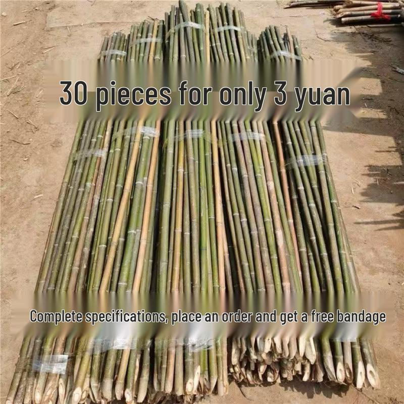 Бамбуковая садовая решетка: Вьющаяся конструкция из огурцов, помидоров и зеленой фасоли