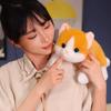 Игрушки Плюшевый Кот Мультяшные Животные Наполнитель Кукла Сопровождать Сон Успокаивать Ребенка Подарок
