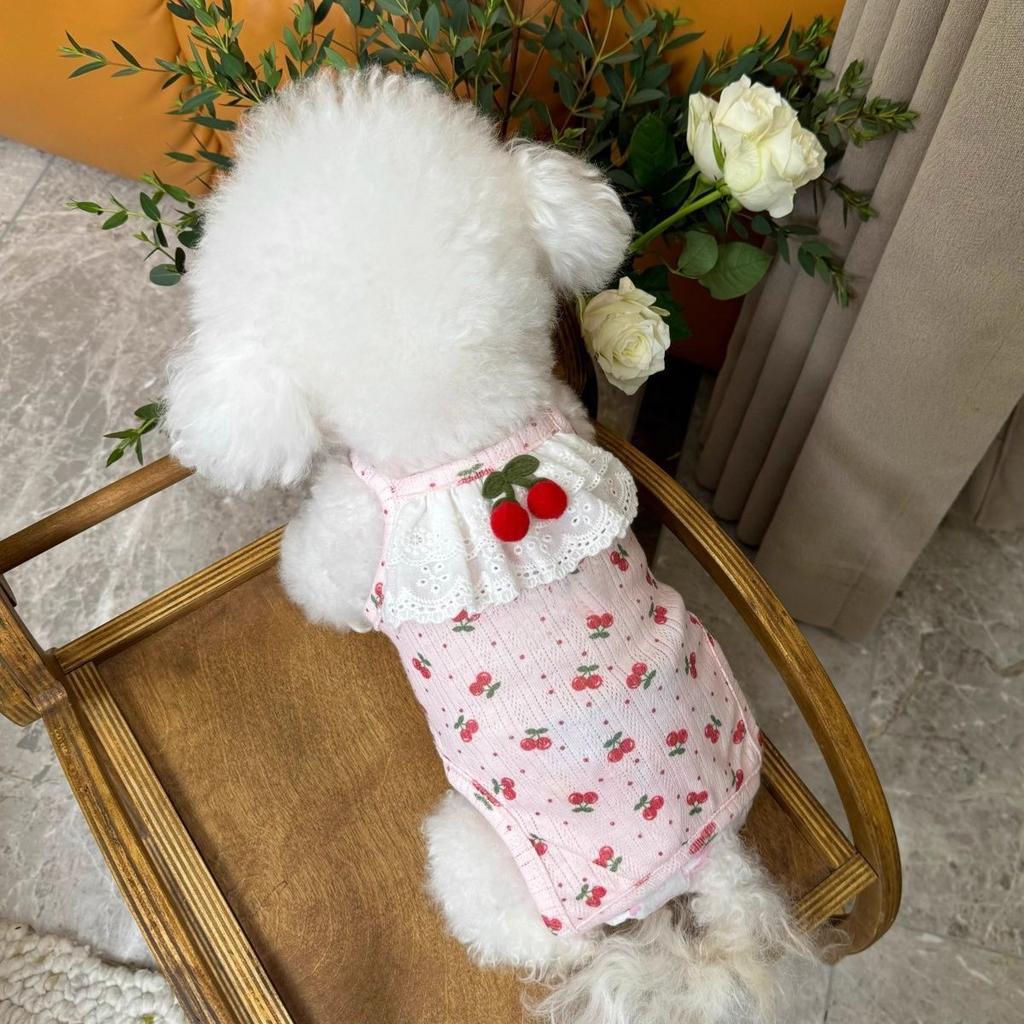 Pet clothes autumn and winter new style anti-cold all-inclusive belly protector small dog Teddy Bichon cute floral vest