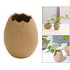 Керамическая ваза для цветов Яйцо Фарфоровый цветочный горшок Бонсай для