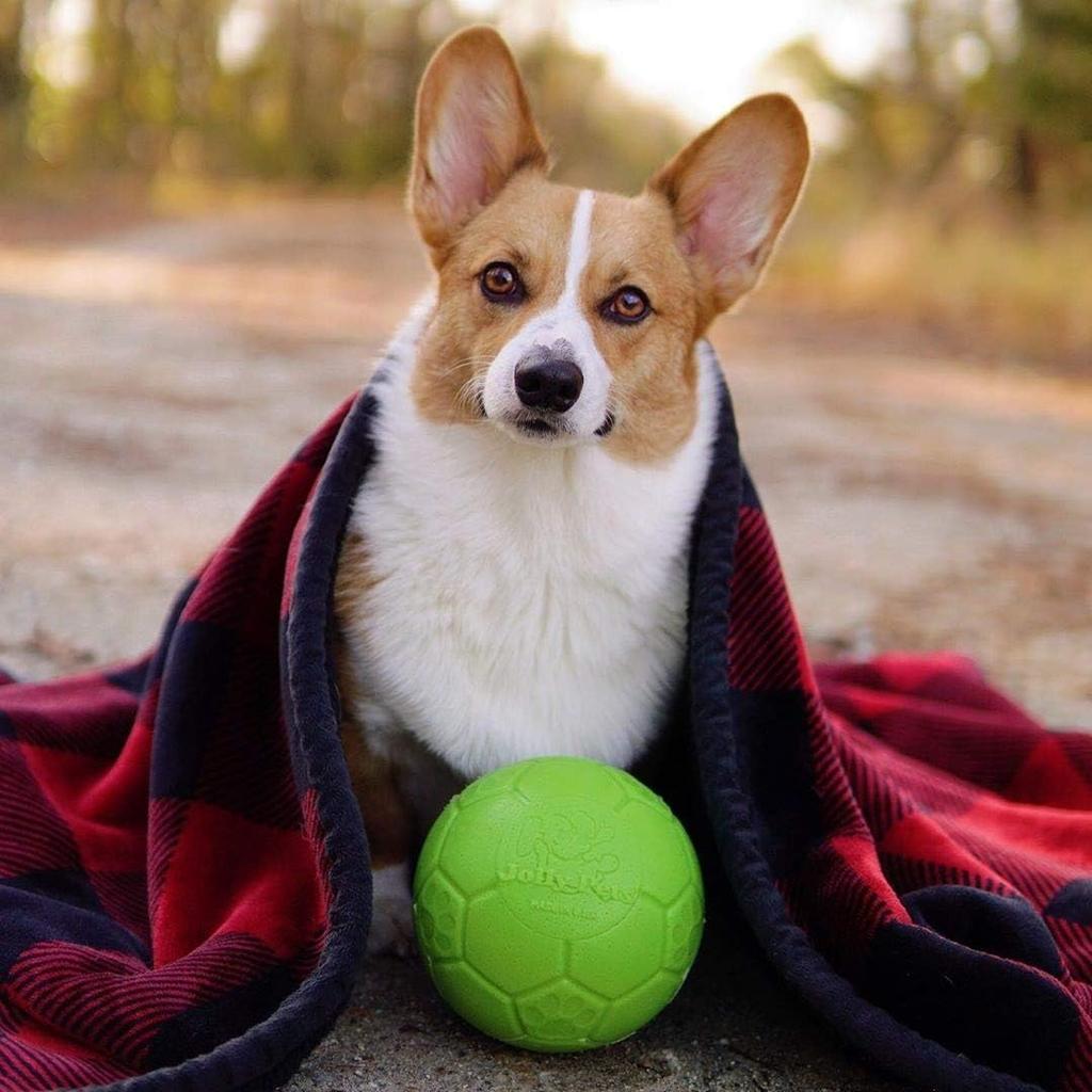 Jolly Pets Dog Jolly Soccer Ball Toy Игрушка для собак Игрушка для домашних животных дюймы (Веселые питомцы) (6 (15,2 см)) (Зеленое яблоко)