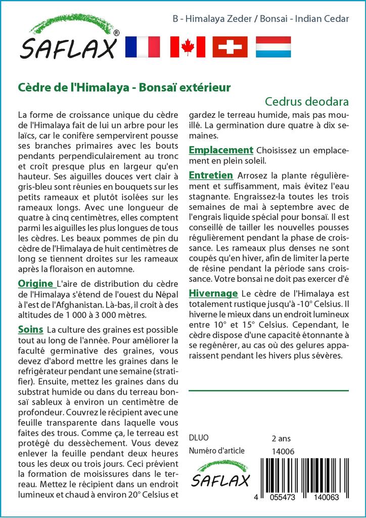 SAFLAX Garden in the Bag - Бонсай - Индийский кедр - 35 семян - С субстратом в подходящем мешке - Cedrus deodara