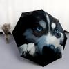 Black Husky pattern, automatic folding umbrella, portable and foldable design, 8 ribs, a Christmas or birthday gift.