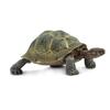 Safari Ltd Пустынная черепаха Фигурка 295329, 1 шт., популярные игрушки в Корее
