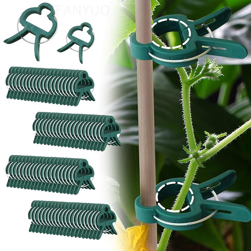 50 шт. фиксированных зажимов для растений, многоразовый зажим для садовой теплицы, кронштейн для фиксированных растений, инструментов для поддержки стеблей саженцев виноградной лозы