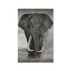 Дикий слон Мать и ребенок плакат животное холст картина гостиная HD печать изображения