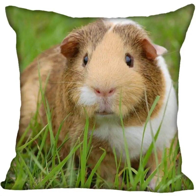 Наволочка для гостиной с морской свинкой в ​​современном доме