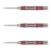 Target Target HEMA 02 SWISS POINT STEEL 21g Dart Barrel Dart Set <190124>