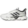 Climacool White Light Green Кроссовки унисекс Cloud-White Core-Black IF0637