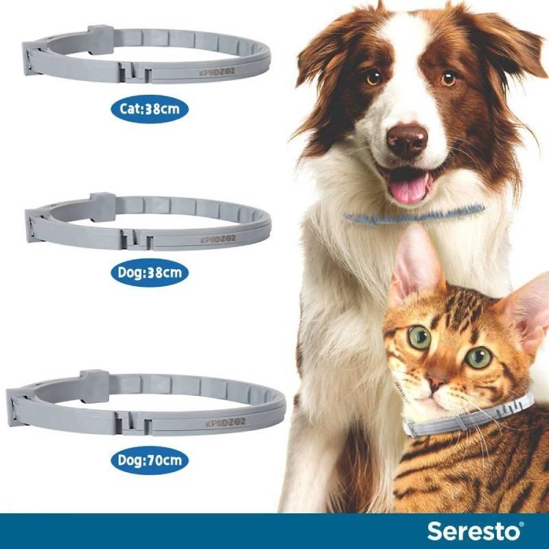 Ошейник для защиты от блох и клещей для собак и кошек - 8 месяцев защиты, без запаха и нежирный