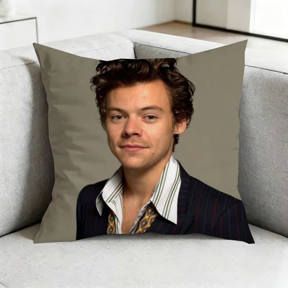 Harry Styles Harry House Pillow Case Square DoubleSided Sofa Cushion Cover Bedroom Bedside Pillow Gift