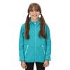 Regatta Childrens/Kids Maxwell Marl Soft Shell Jacket