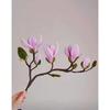 DIY Magnolia Bouquet Kit - Handwoven Potted Plant Ornament, Perfect Gift for Mother's Day or Housewarming