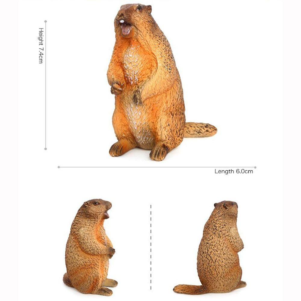 Фигурка дикого животного Marmot Искусственное украшение Пластиковая фигурка сурка Дом