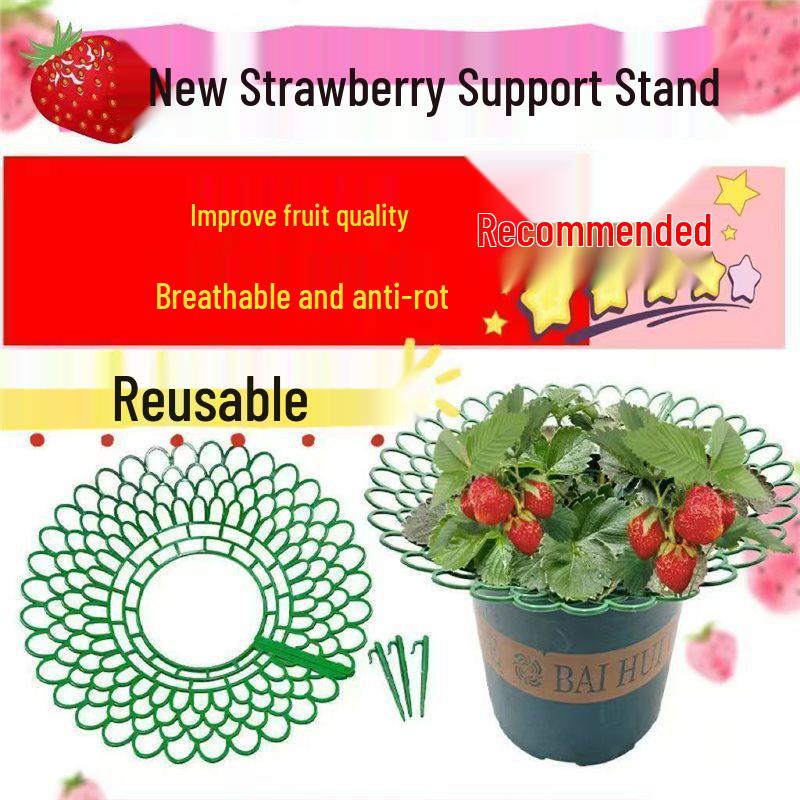 New Strawberry Stand: Home & Balcony Planting, Anti-Rot Tray for Gardening