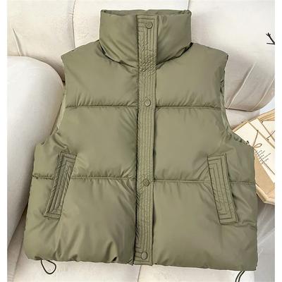 Осень-зима корейский свободный пуховый хлопковый жилет женский короткий воротник-стойка безрукавка пальто модный жилет жилеты