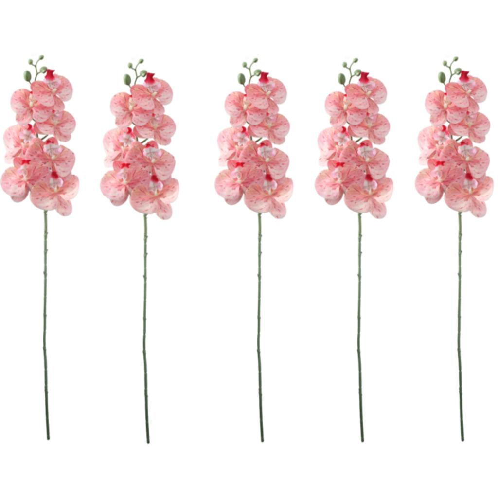 Набор из 5 искусственных стеблей орхидеи фаленопсис, реалистичные шелковые цветы для элегантного украшения центра стола дома