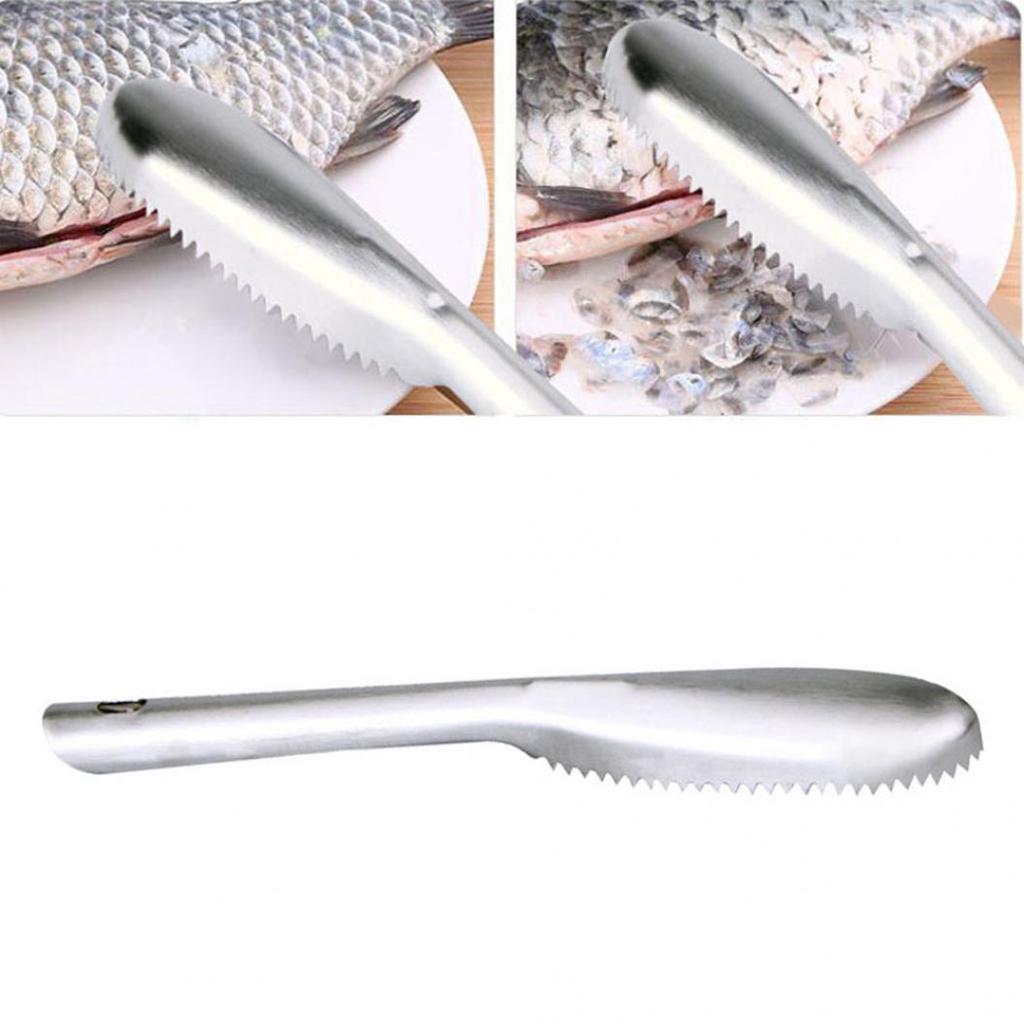 Creative Stainless Steel Fish Scale Scraping Graters Cleaning Peeler Scaler ARI