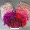6M 13-18cm  Multicolor Real Ostrich Feather Trims Ribbon White Ostrich for Dress Clothing Decoration Sewing Feathers Crafts