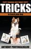 Книга Dog Tricks : Best Smart Dog Tricks To Teach Your Dog In Record Time