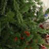 Artificial Christmas Tree 150 cm Green with 440 Branches, PE and PVC, Metal Base