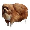 Simulated Pomeranian Dog Fashion Photography Props Party Home Desktop Car Home Decoration Toy Gift