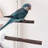 3pack Durability Bird Stand Wood Bird Perches Stand Poles Pet Bird Training Tool for Small To Medium Birds