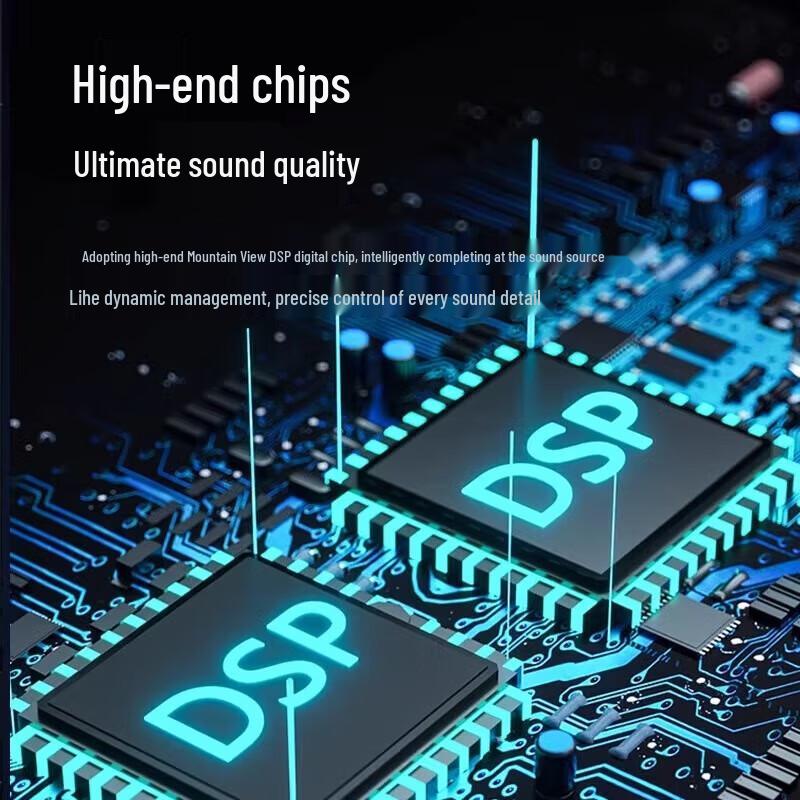 Soaiy SH05 Outdoor Karaoke Bluetooth 5.3 Speaker with Sound Card